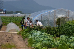 やっぱり野菜もらってる….jpg