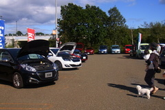 イデアルさんは試乗車まで！.jpg