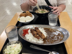トリカツカレーと鶏そうめんでした。.jpg