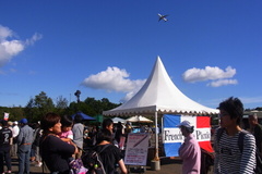 フレンチブルーピクニックと飛行機.jpg