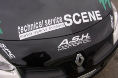 ボロボロのアッシュも貼り替えた.jpg