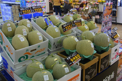 メロンの価格?.jpg