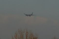 ラッピングされてた飛行機.jpg