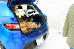 今回は余裕な量で済みました.jpg