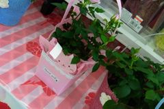 友希ちゃんはコレが可愛いって.jpg