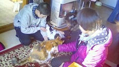 嫁さんの親戚の家の猫.jpg
