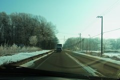 寒すぎて樹氷が….jpg