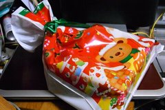 私へのクリスマスプレゼントは….jpg