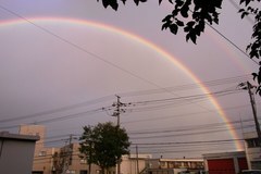 虹～しかもダブル～.jpg