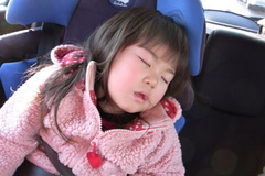 車内で寝る友希ちゃん.jpg