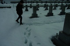 道作らないと、ホントに埋まるので….jpg