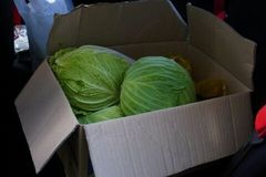 野菜は頂きました!.jpg