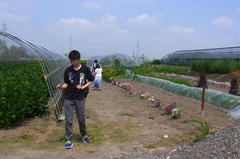 野菜をもらいます〜.jpg