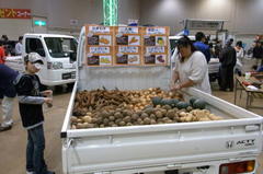 野菜取り放題が目的のよしみっち２.jpg