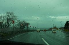 雨は嫌だぁ.jpg