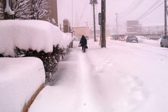雪が膝まである歩道と渋滞.jpg
