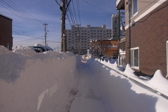 １２月で、この雪山の高さ….jpg