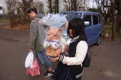 GEOのくじでA賞当ててもらったイーブイ.jpg