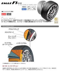 f1gs_100217_2.jpg